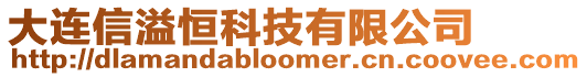 大連信溢恒科技有限公司