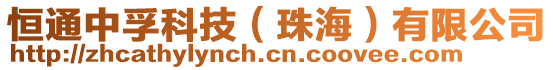 恒通中孚科技(珠海)有限公司