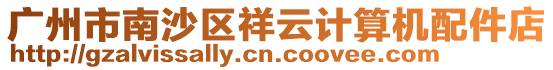 廣州市南沙區祥云計算機配件店
