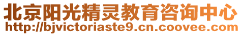 北京陽(yáng)光精靈教育咨詢(xún)中心