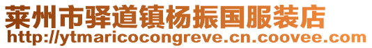 萊州市驛道鎮楊振國服裝店