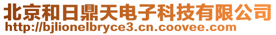 北京和日鼎天電子科技有限公司