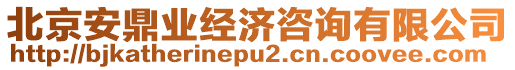 北京安鼎業(yè)經(jīng)濟咨詢有限公司