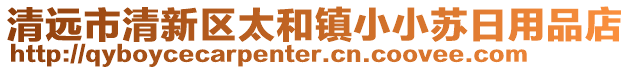 清遠市清新區(qū)太和鎮(zhèn)小小蘇日用品店