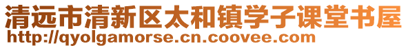 清遠市清新區太和鎮學子課堂書屋