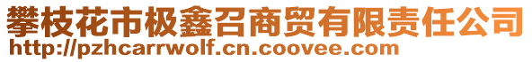 攀枝花市極鑫召商貿(mào)有限責(zé)任公司