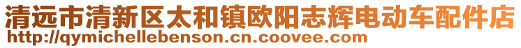清遠(yuǎn)市清新區(qū)太和鎮(zhèn)歐陽(yáng)志輝電動(dòng)車(chē)配件店