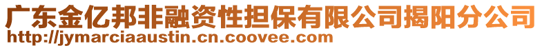 廣東金億邦非融資性擔(dān)保有限公司揭陽(yáng)分公司