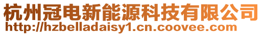 杭州冠電新能源科技有限公司