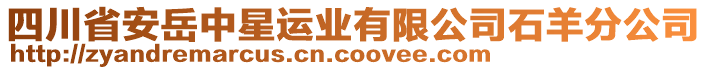 四川省安岳中星運(yùn)業(yè)有限公司石羊分公司