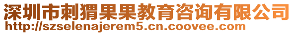 深圳市刺猬果果教育咨詢有限公司