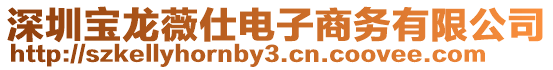 深圳寶龍薇仕電子商務有限公司