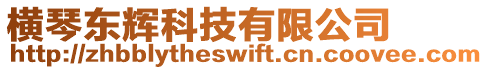 橫琴東輝科技有限公司