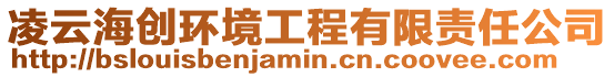 凌云海創環境工程有限責任公司