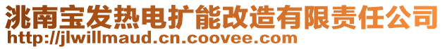 洮南寶發(fā)熱電擴能改造有限責任公司