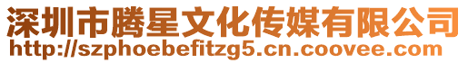 深圳市騰星文化傳媒有限公司