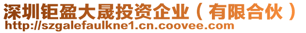 深圳鉅盈大晟投資企業(yè)（有限合伙）