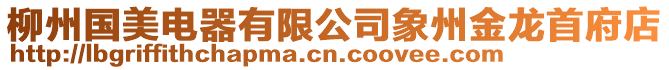 柳州國美電器有限公司象州金龍首府店