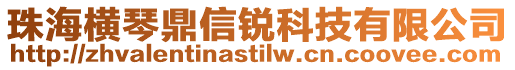 珠海橫琴鼎信銳科技有限公司