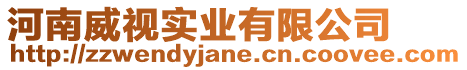 河南威視實(shí)業(yè)有限公司