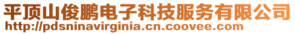 平頂山俊鵬電子科技服務有限公司