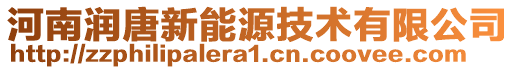 河南潤唐新能源技術有限公司