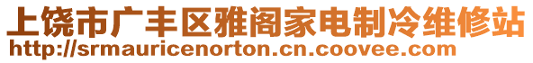 上饒市廣豐區(qū)雅閣家電制冷維修站