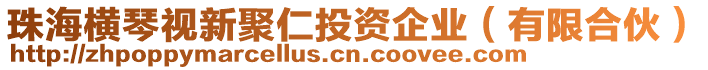 珠海橫琴視新聚仁投資企業（有限合伙）