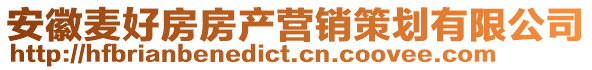 安徽麥好房房產營銷策劃有限公司