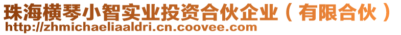 珠海橫琴小智實業投資合伙企業（有限合伙）