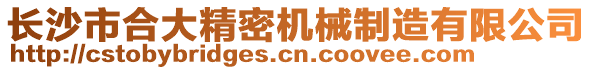 長(zhǎng)沙市合大精密機(jī)械制造有限公司