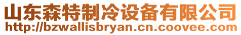 山東森特制冷設備有限公司