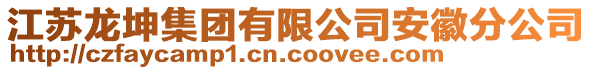 江蘇龍坤集團有限公司安徽分公司