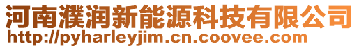 河南濮潤新能源科技有限公司