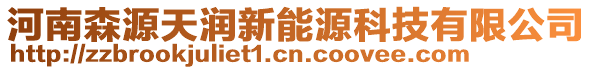 河南森源天潤新能源科技有限公司