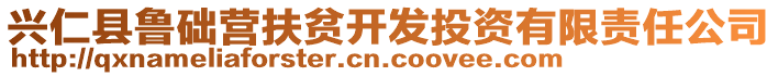 興仁縣魯礎營扶貧開發(fā)投資有限責任公司