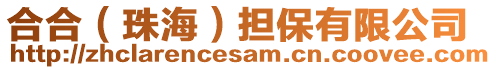 合合（珠海）擔(dān)保有限公司