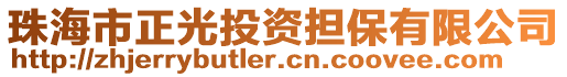 珠海市正光投資擔(dān)保有限公司