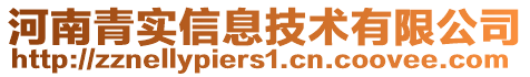 河南青實信息技術(shù)有限公司