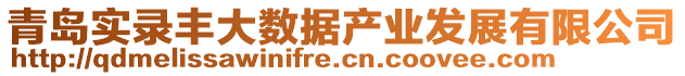 青島實錄豐大數(shù)據(jù)產(chǎn)業(yè)發(fā)展有限公司