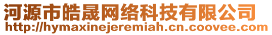 河源市皓晟網絡科技有限公司