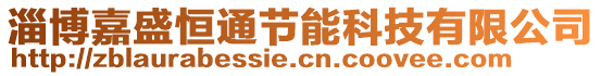 淄博嘉盛恒通節(jié)能科技有限公司