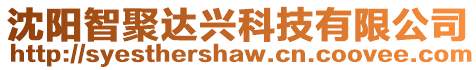 沈陽智聚達興科技有限公司