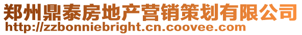 鄭州鼎泰房地產營銷策劃有限公司