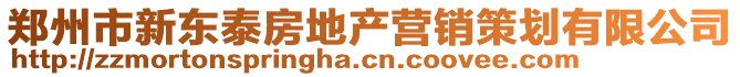鄭州市新東泰房地產營銷策劃有限公司
