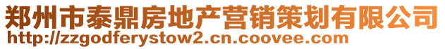 鄭州市泰鼎房地產營銷策劃有限公司