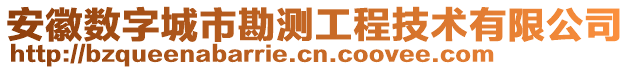 安徽數(shù)字城市勘測工程技術有限公司