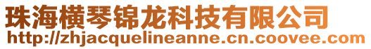 珠海橫琴錦龍科技有限公司