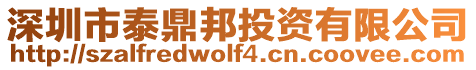 深圳市泰鼎邦投資有限公司