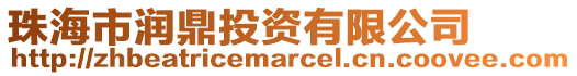 珠海市潤鼎投資有限公司